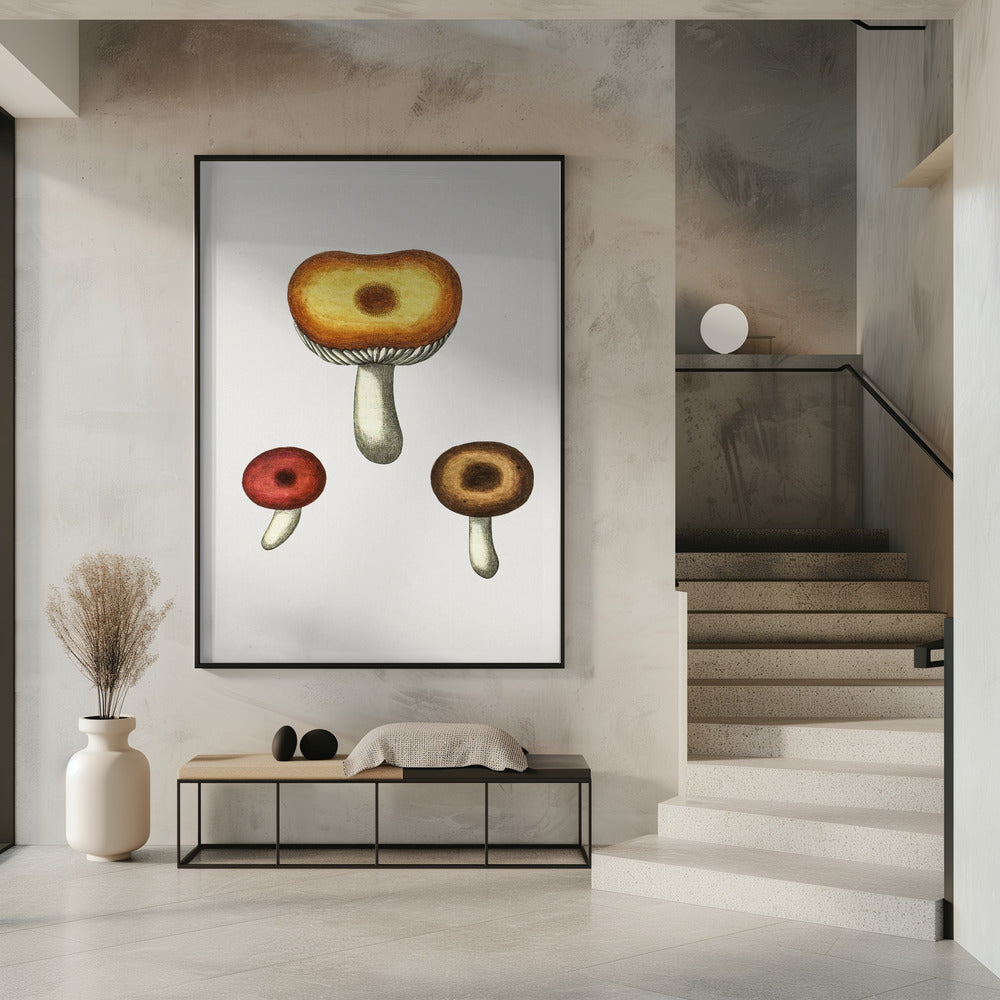Handgezeichneter Galerina-Pilz | Poster