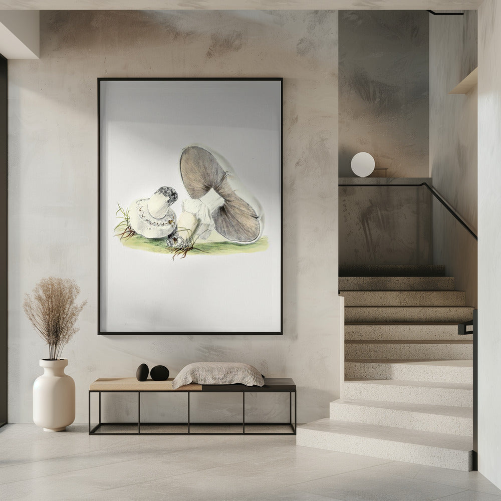 Handgezeichnetes Pferd Pilz stehend | Poster