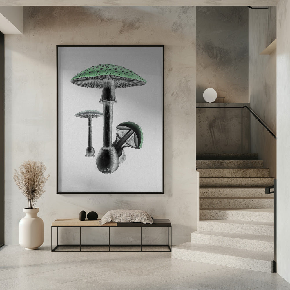 Amanita Muscaria Weißer Hintergrund Grün | Poster