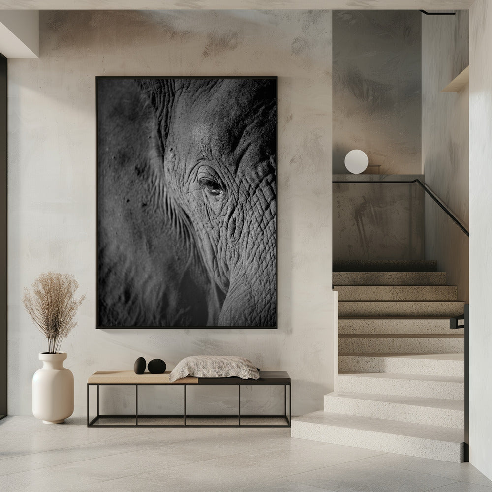Majestätische Weisheit | Poster
