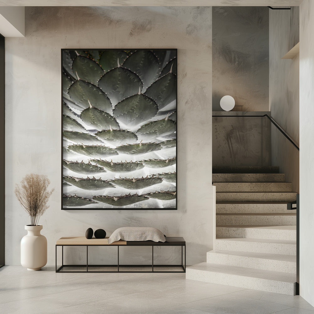 Spiral-Sukkulente | Poster