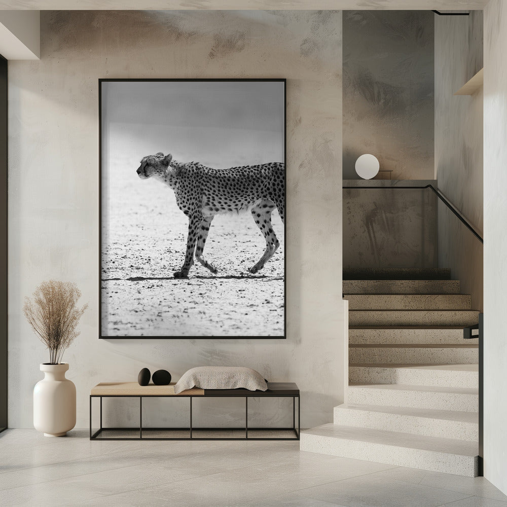 Stille Verfolgung | Poster