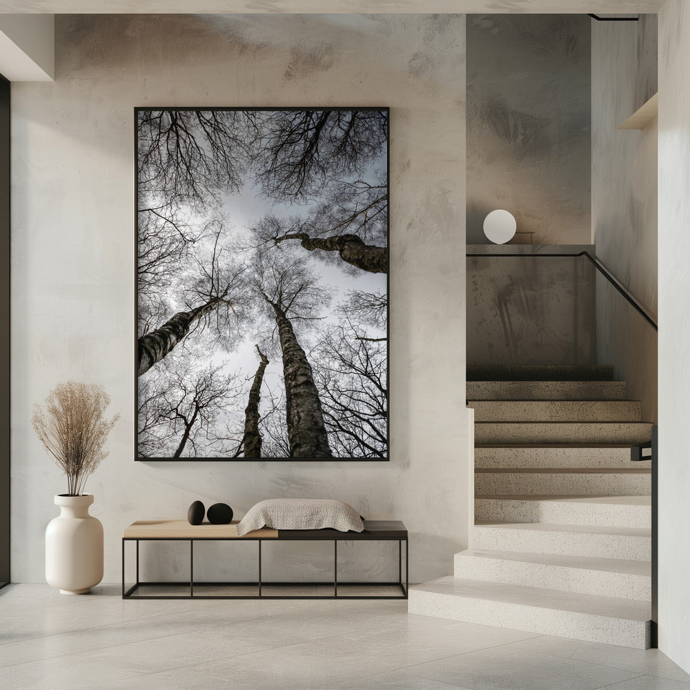 Winterumarmung | Poster