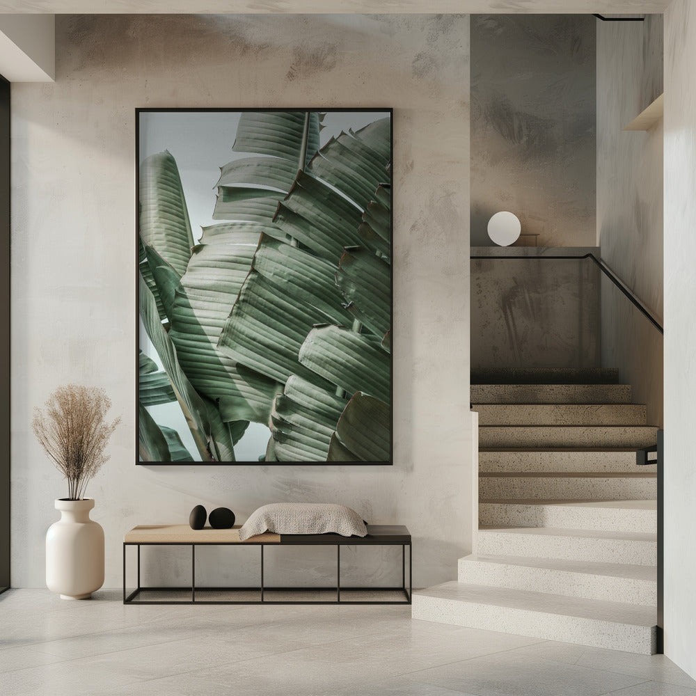 Bananenblatt-Harmonie | Poster