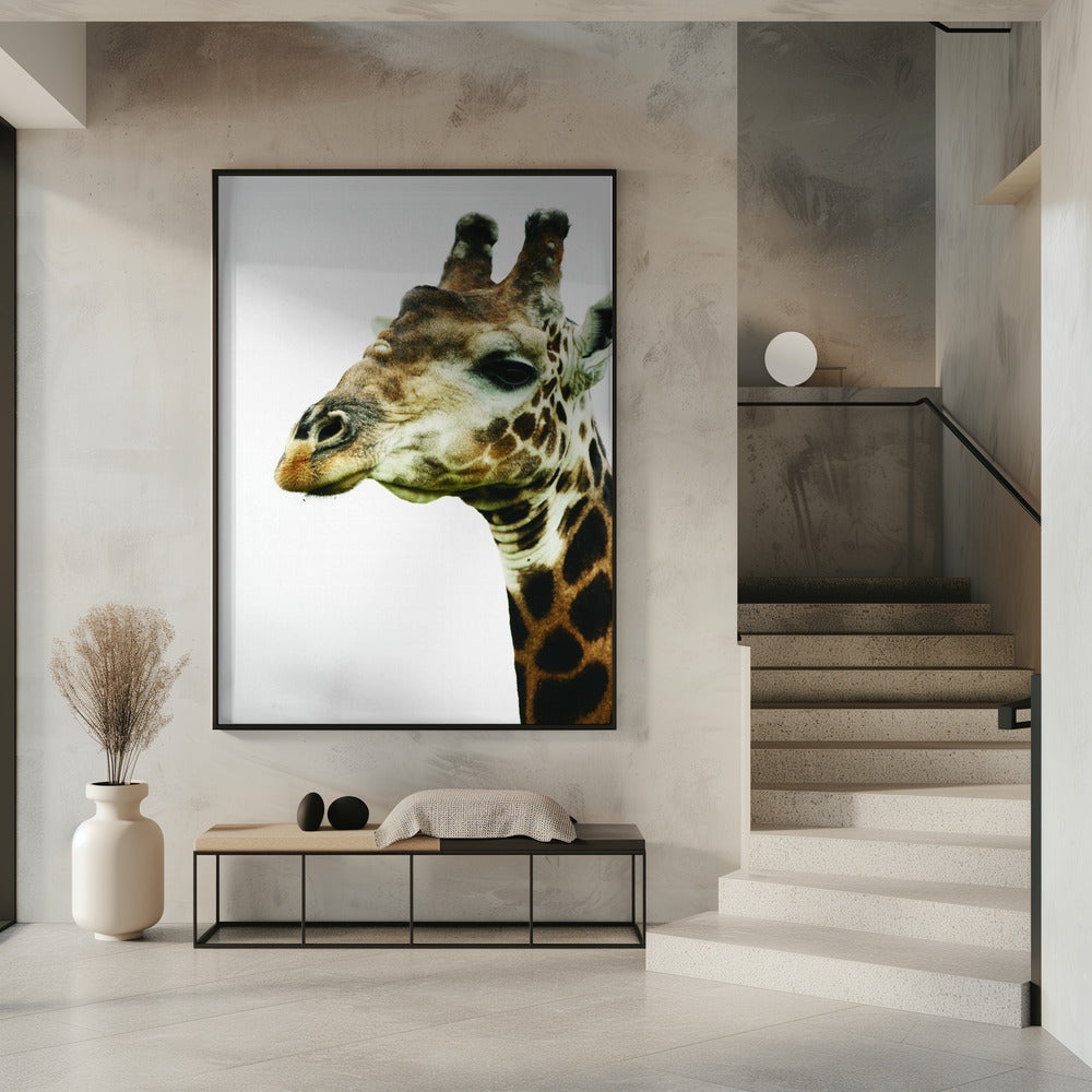Giraffen-Gemälde | Poster