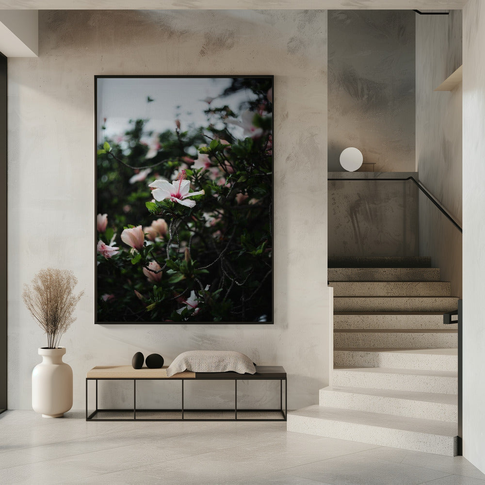 Blüten in voller Blüte | Poster