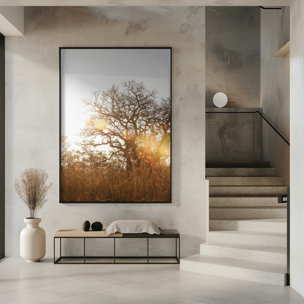 Sonnenbeschienene Silhouette | Poster