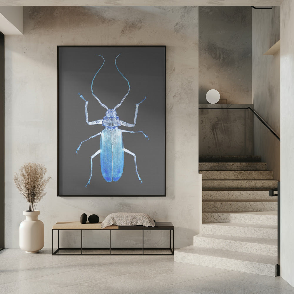 Neon Käfer Eleganz | Poster