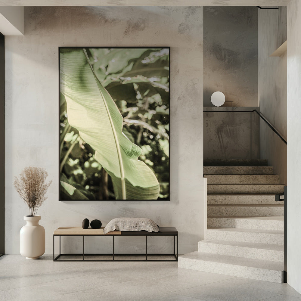 Smaragdgrünes Baldachin | Poster