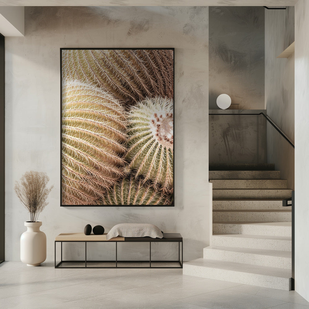 Spirale der Stacheln | Poster