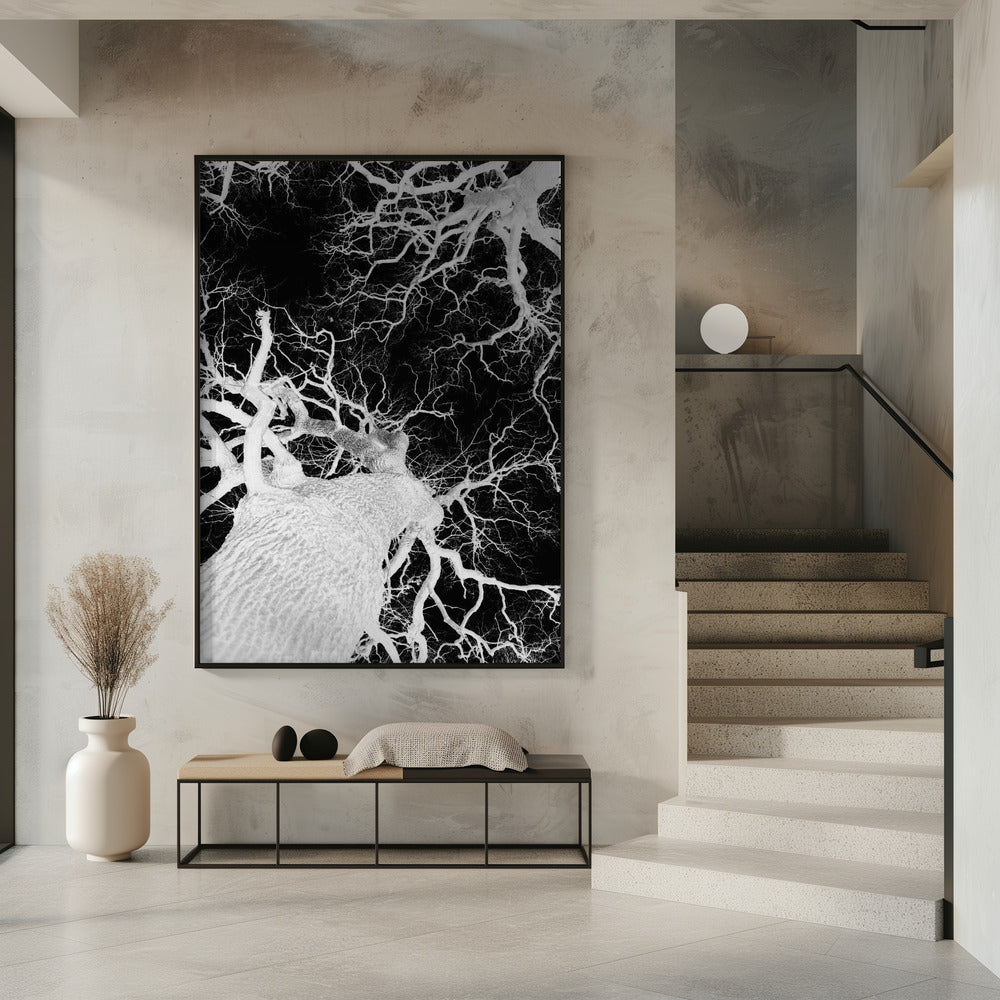 Winteradern | Poster