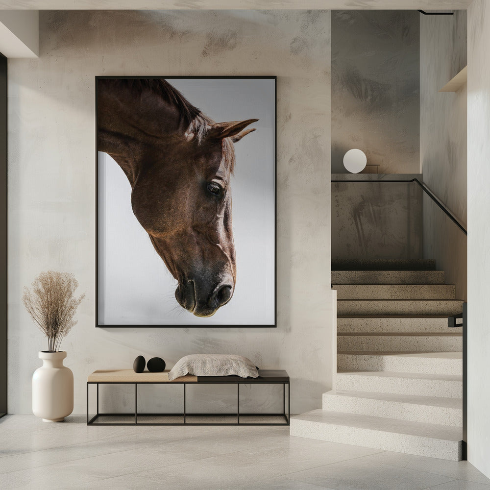 Portrait of a Horse Head | Poster