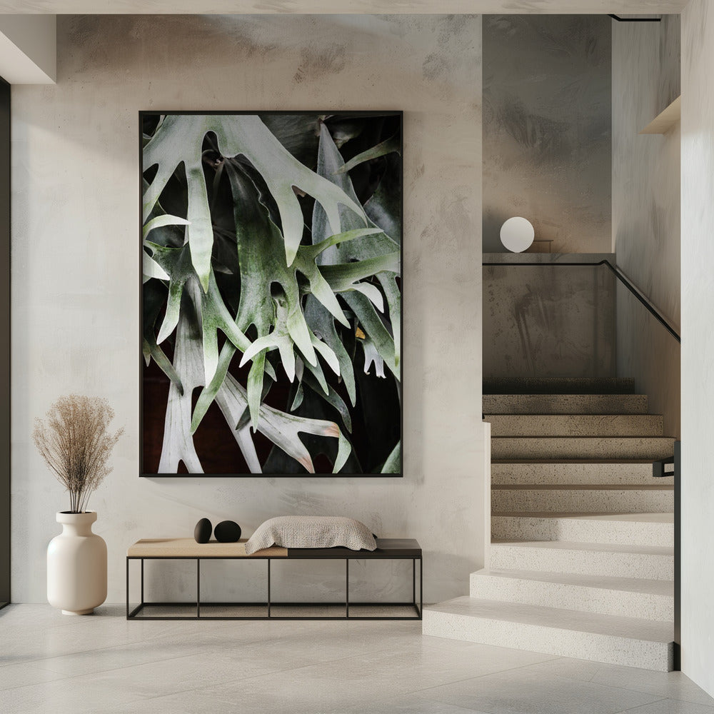 Enchanted Fronds | Poster