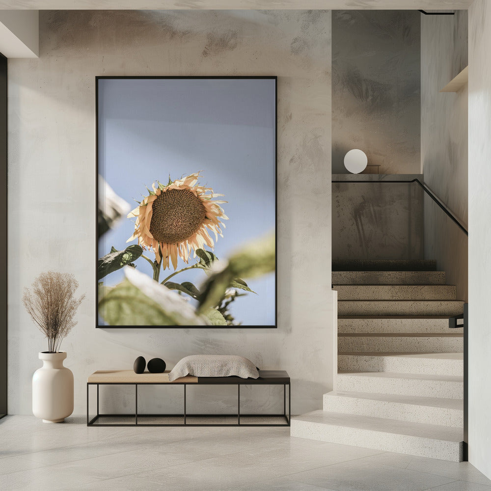 Goldener Blütenhimmel | Poster