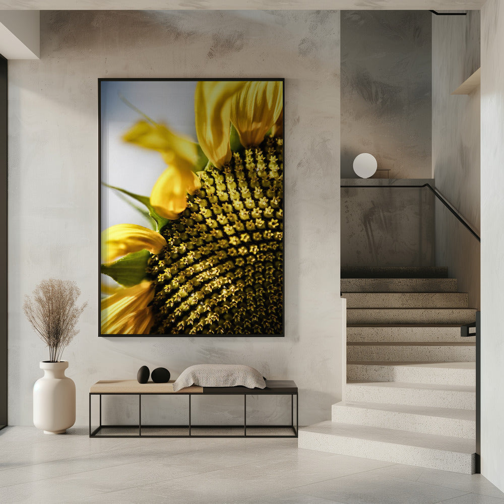 Sunflower Close Up | Poster
