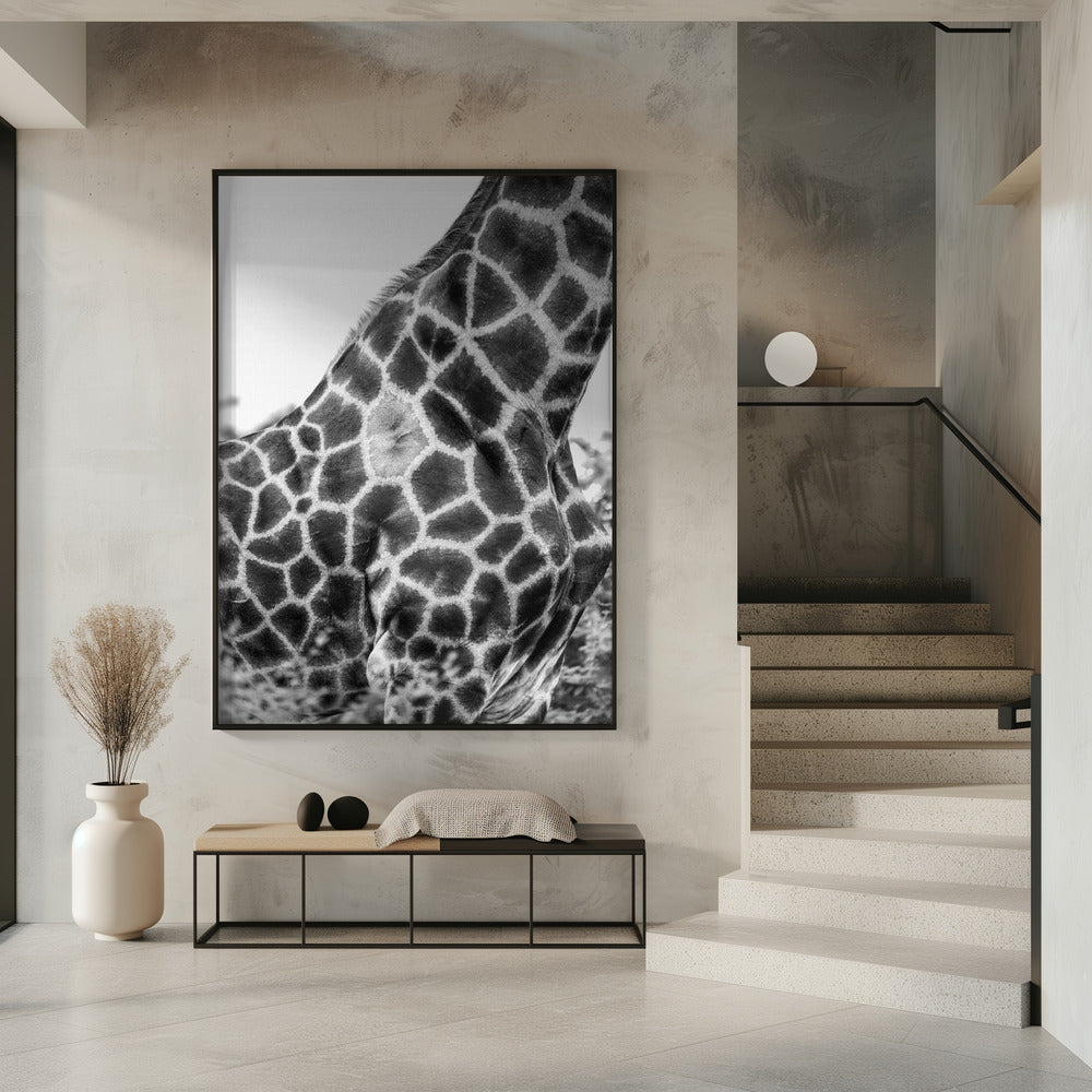 Intricate Patterns Of A Giraffe&#039;s Skin | Poster