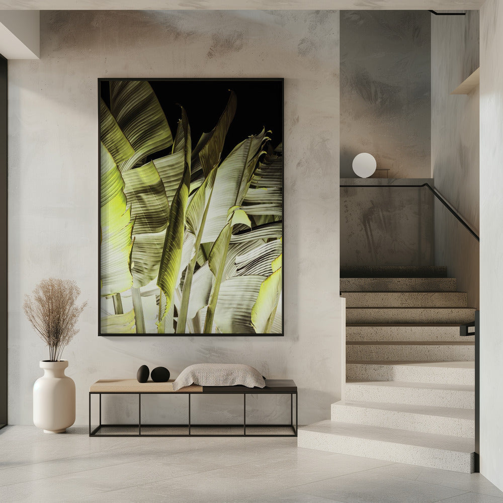 Banana Leaves In Soft Lighting | Poster