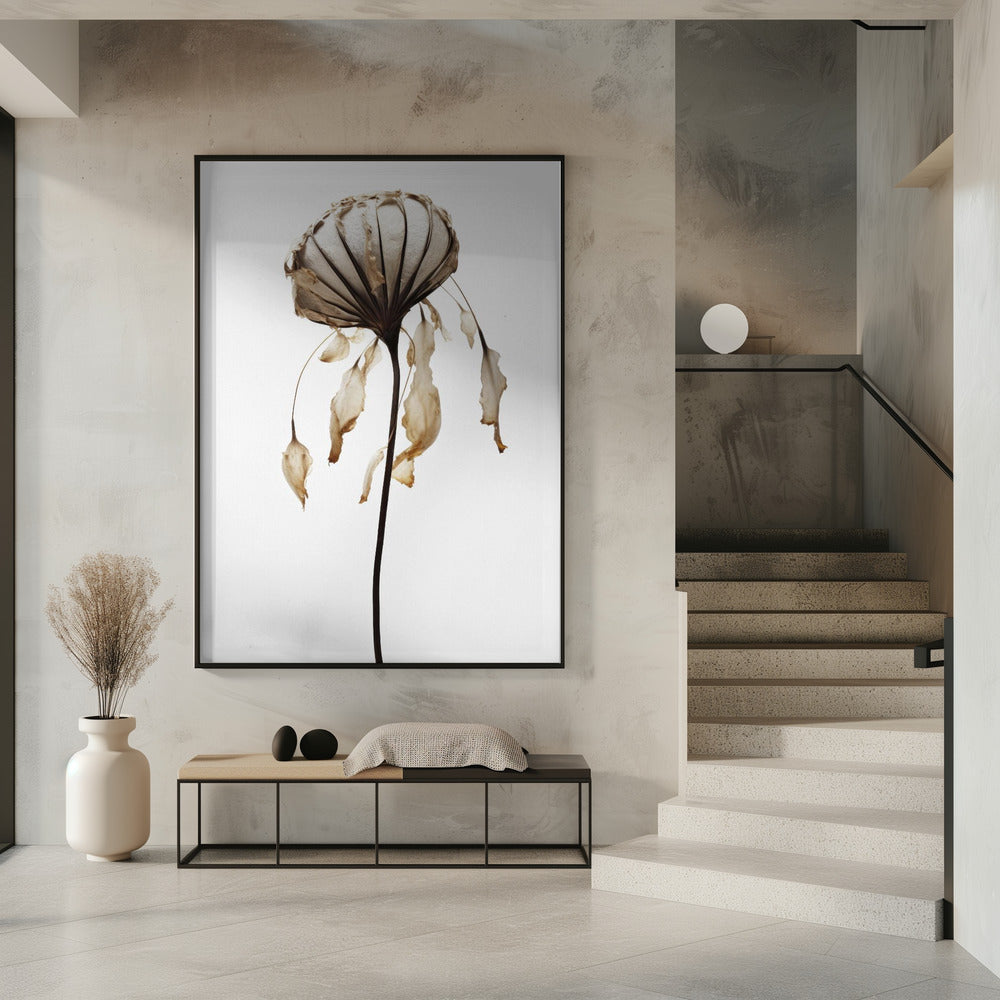 Verwelkte Eleganz | Poster
