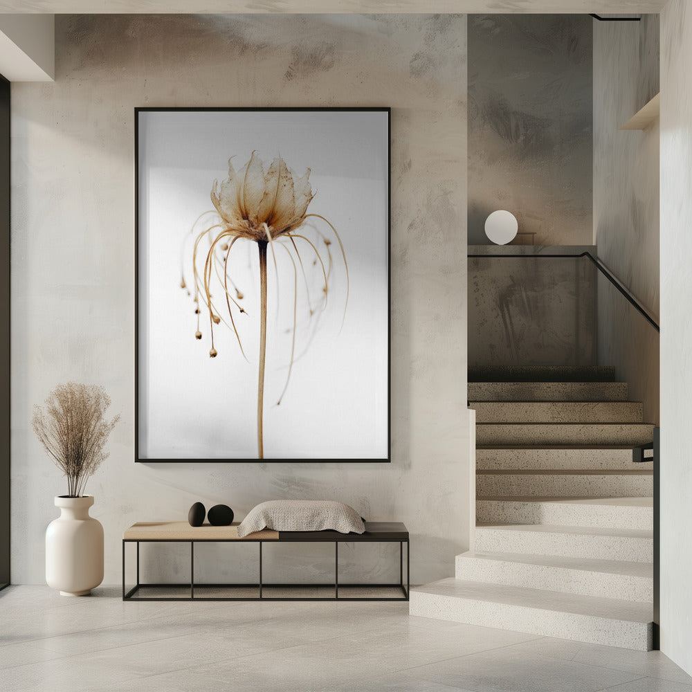Ätherische Blüte | Poster