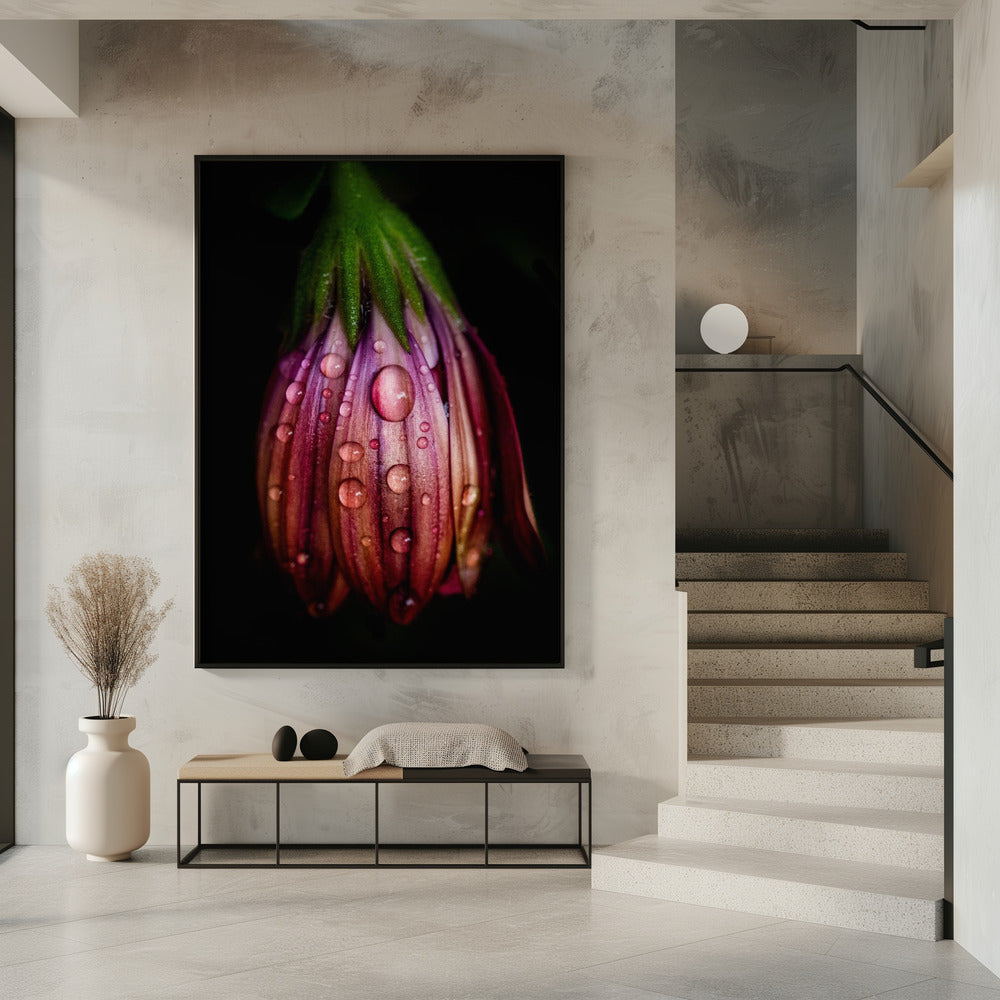 Nach dem Regen | Poster