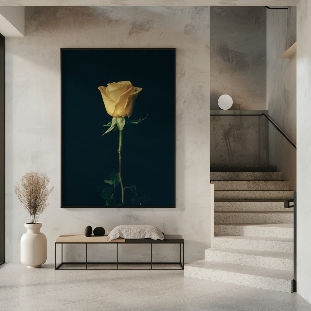 gelbe Rose | Poster