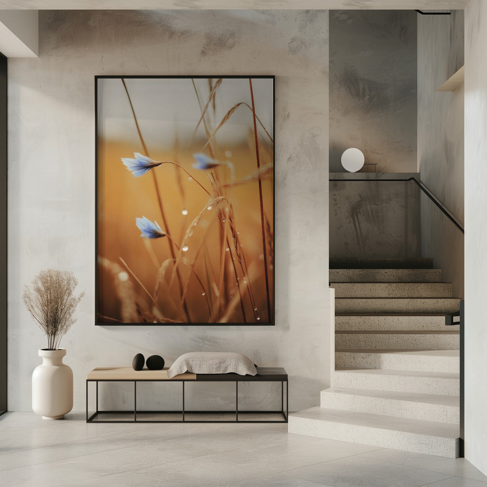 Blaue Blüten im Morgengrauen | Poster