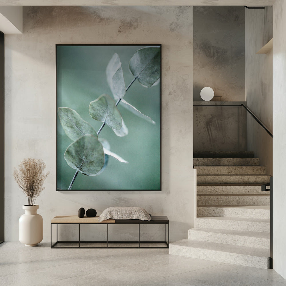 Eukalyptus 9 | Poster