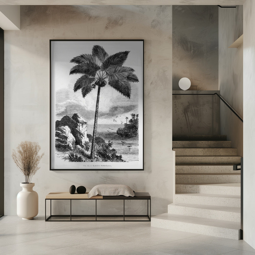 Vintage Palmenzeichnung I | Poster