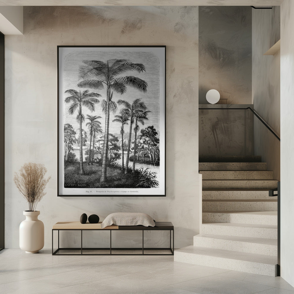 Vintage Palmenzeichnung II | Poster