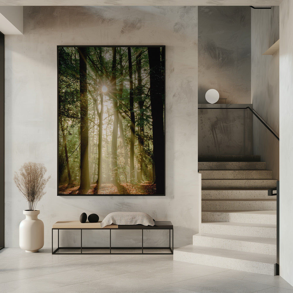 Sonnenstrahlen durch den Wald | Poster
