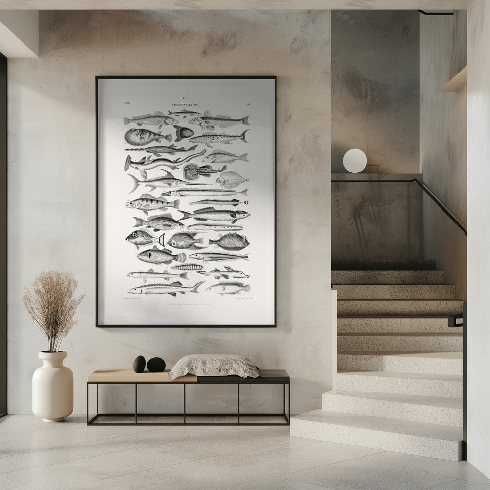 Meerestiere I | Poster