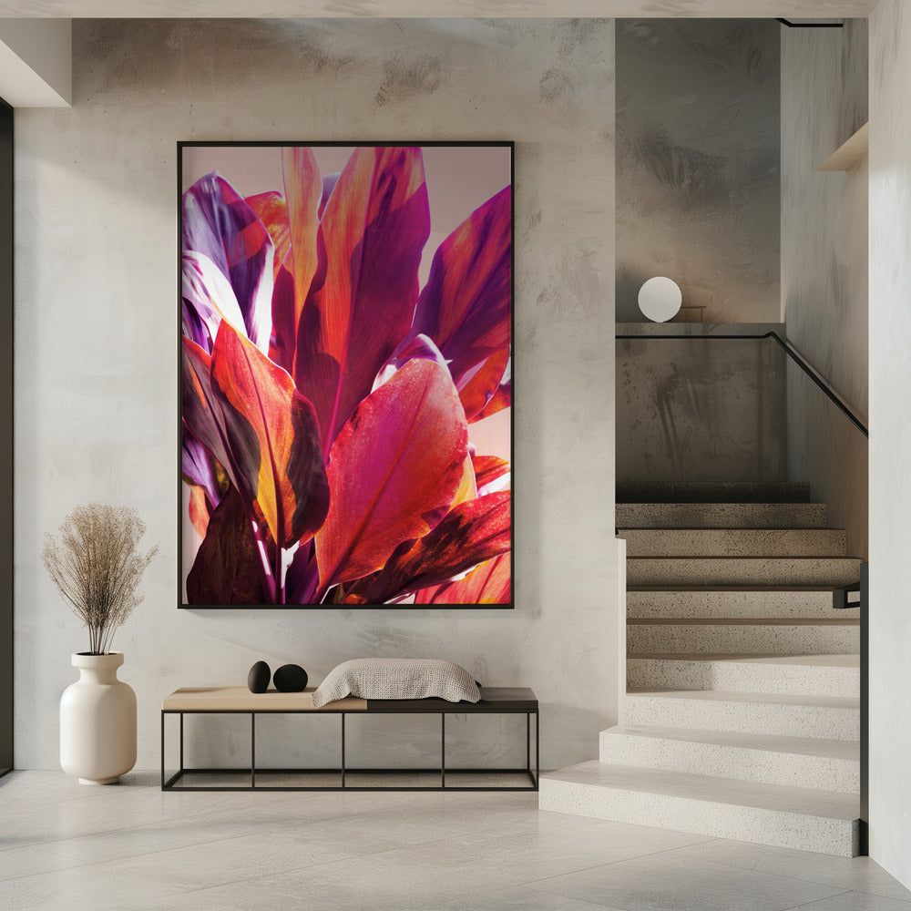 Fuchsienblätter I | Poster