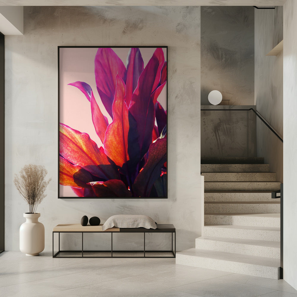 Fuchsienblätter II | Poster