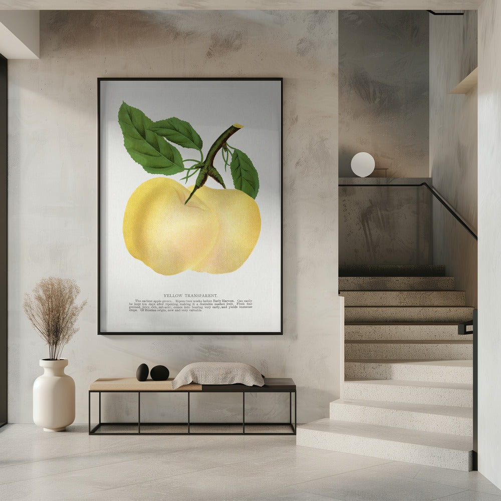 Gelbe transparente Apfel-Lithografie | Poster