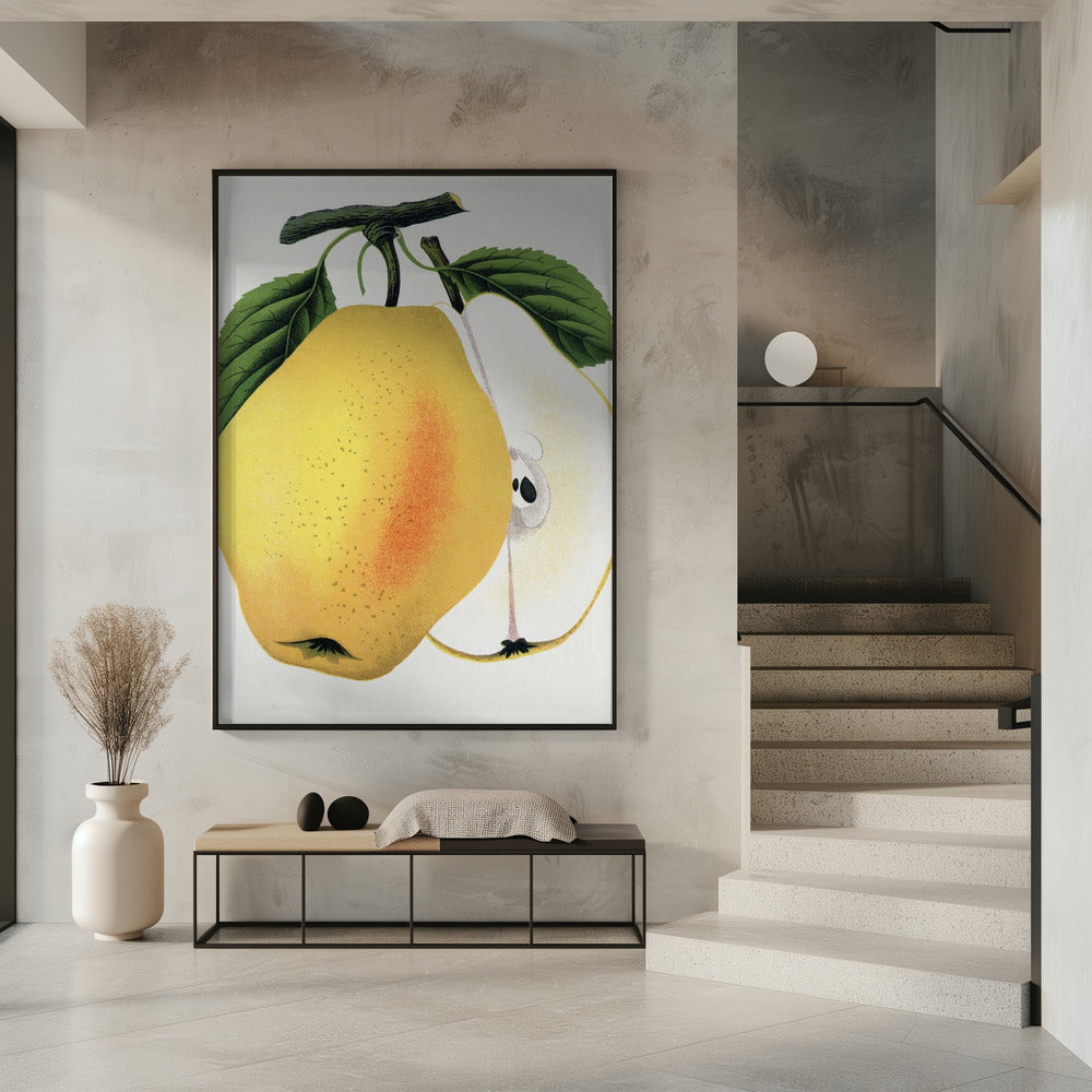Kiefers Hybridbirnen-Lithografie | Poster