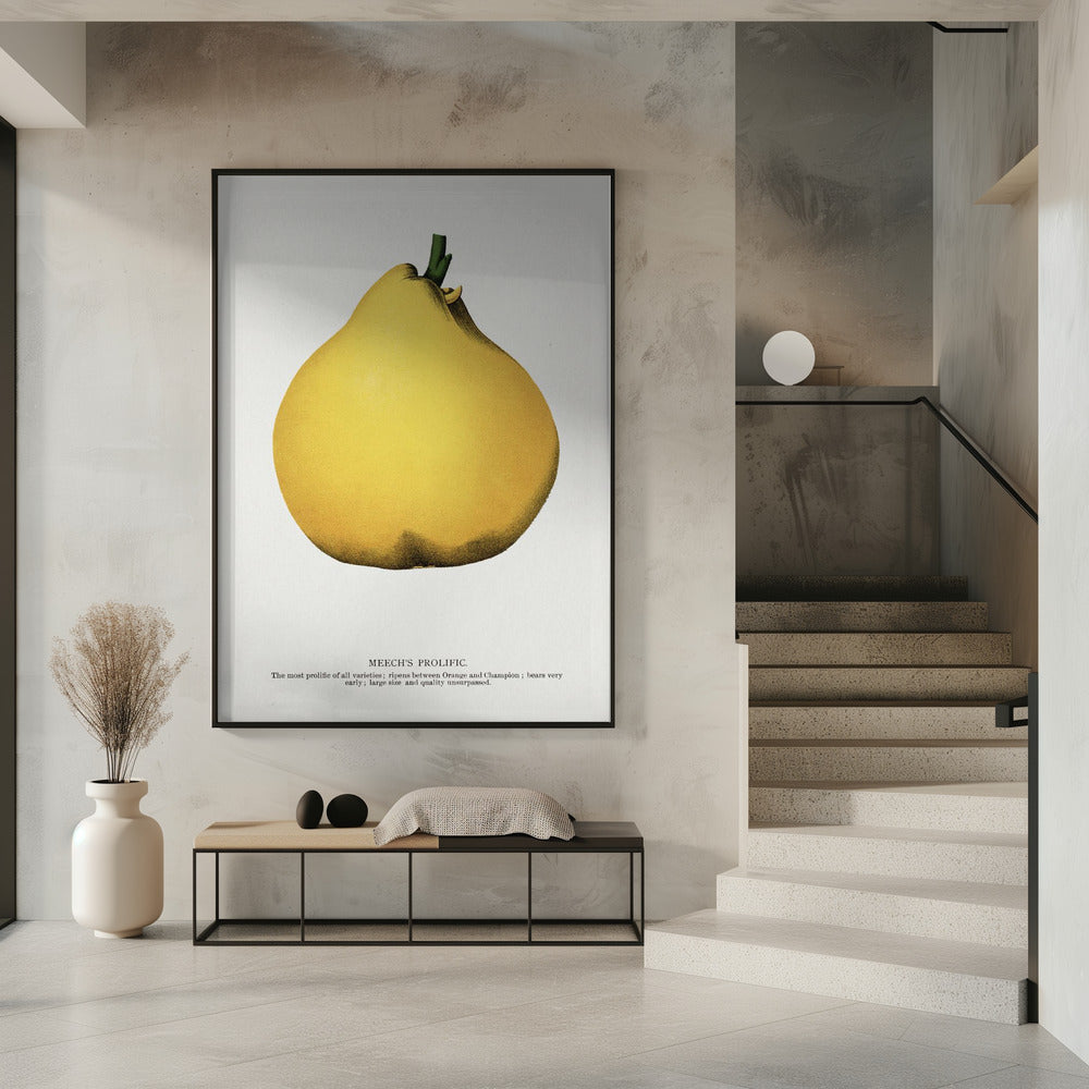 Meechs produktive Birnen-Lithografie | Poster