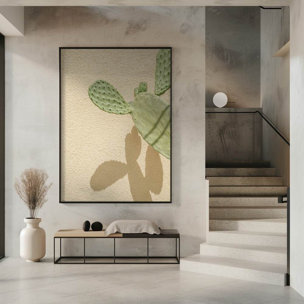 Kakteen-Schattenspiel | Poster