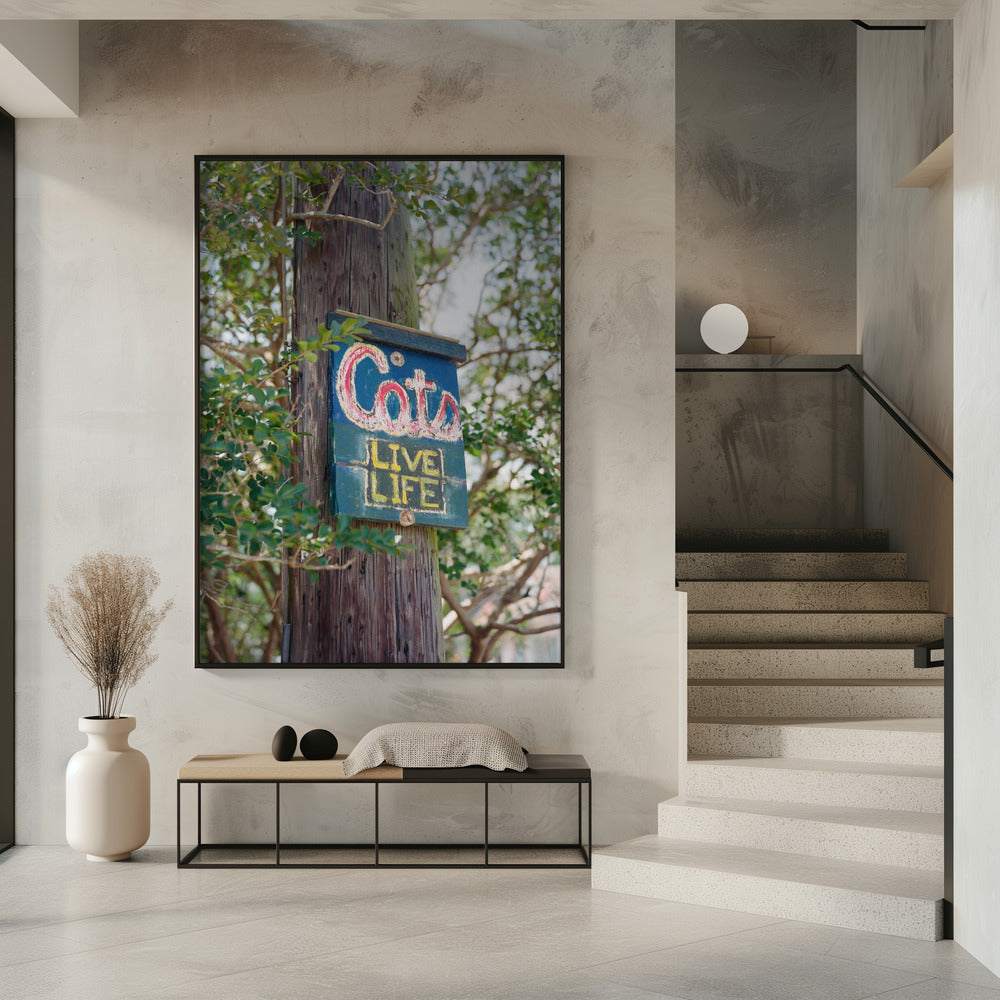 New Orleans Katzen | Poster