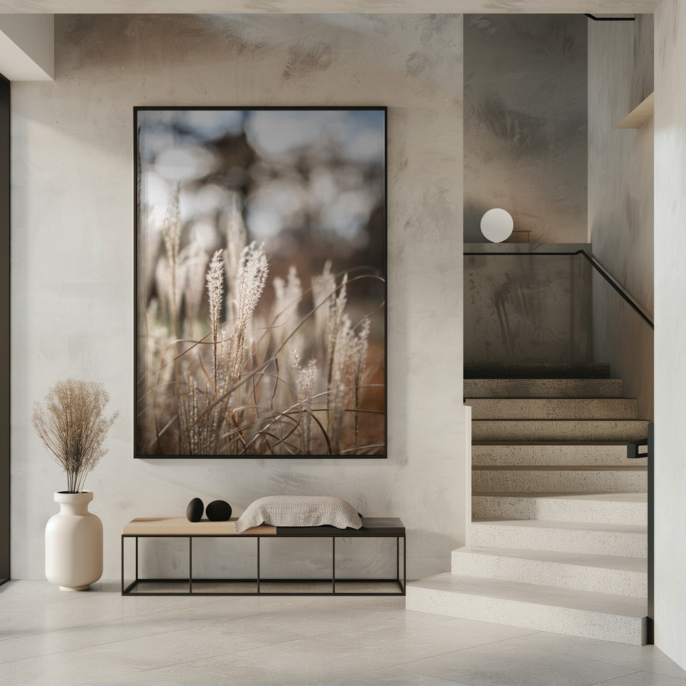Gras 19 | Poster