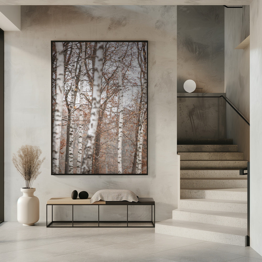 Birken 6 | Poster