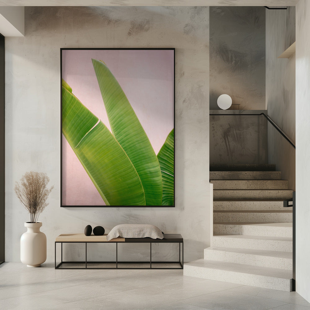 Merida Grün auf Pink | Poster