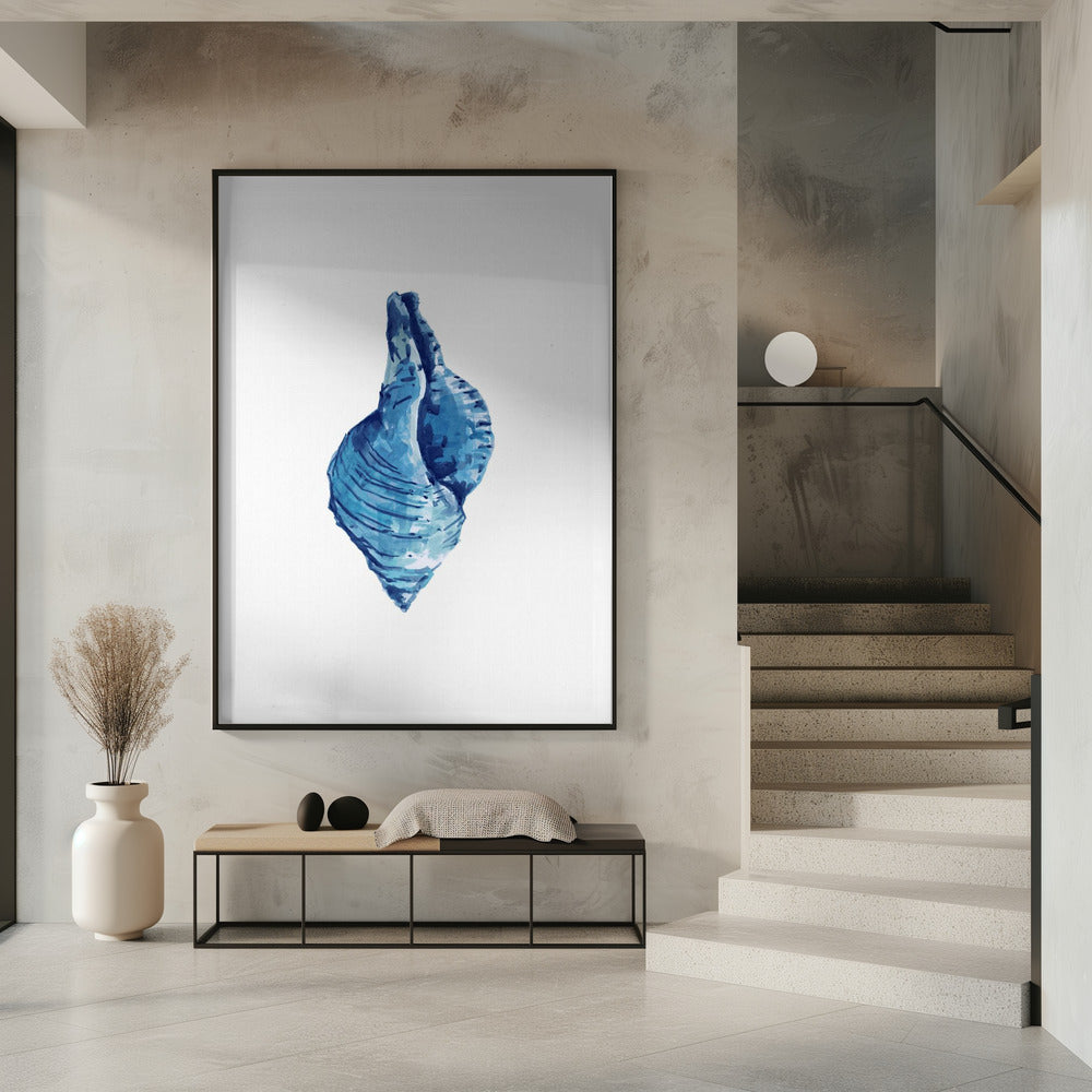 Blaue Muschel auf weißem Hintergrund Nr. 3 | Poster