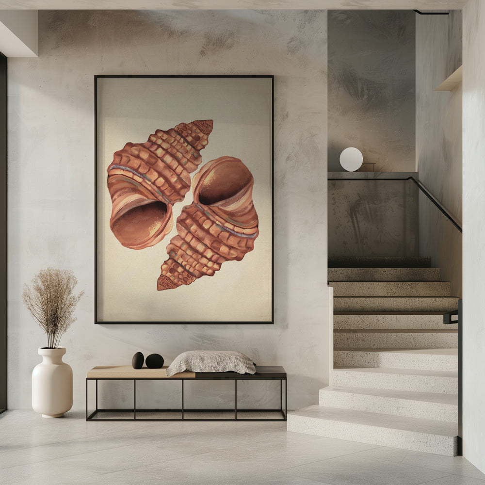 Muschel Vintage | Poster