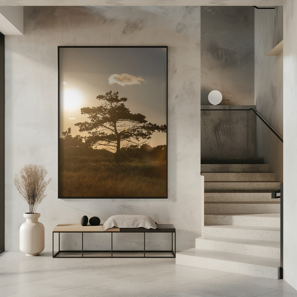 Baum in den Dünen 1 | Poster