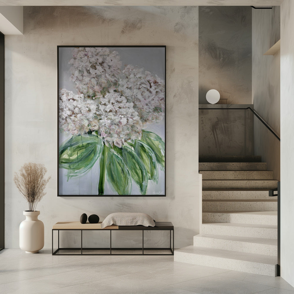 Weiße Hortensienblüte | Poster