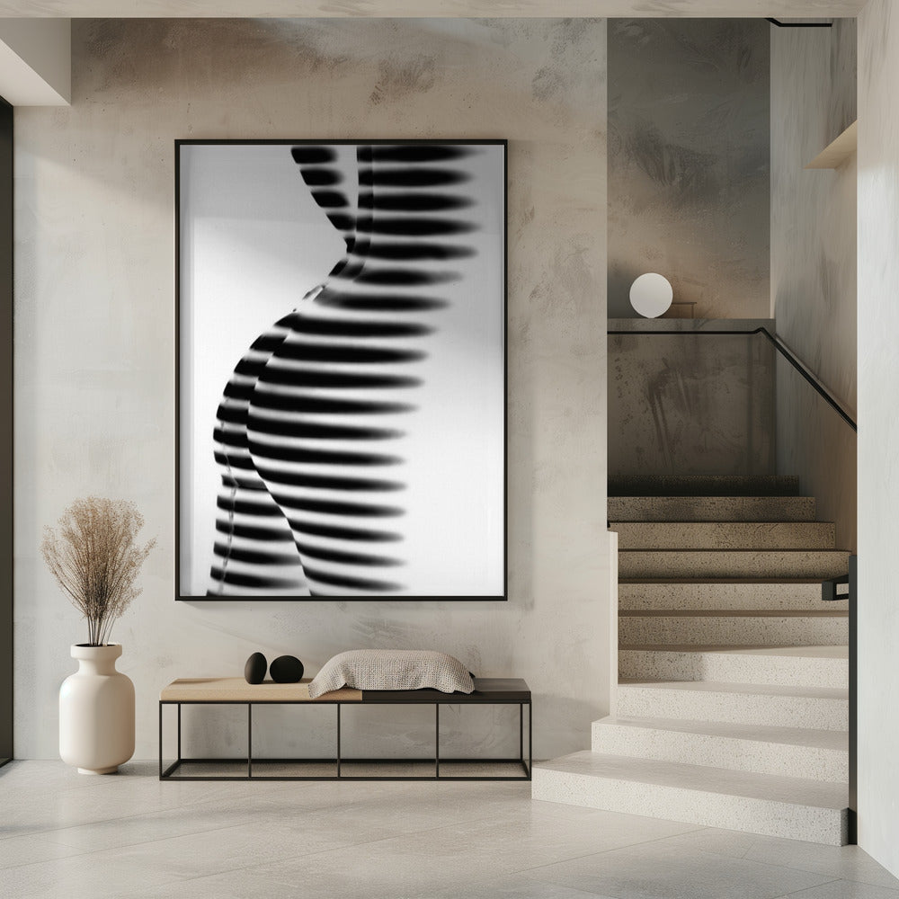 Zebra | Poster