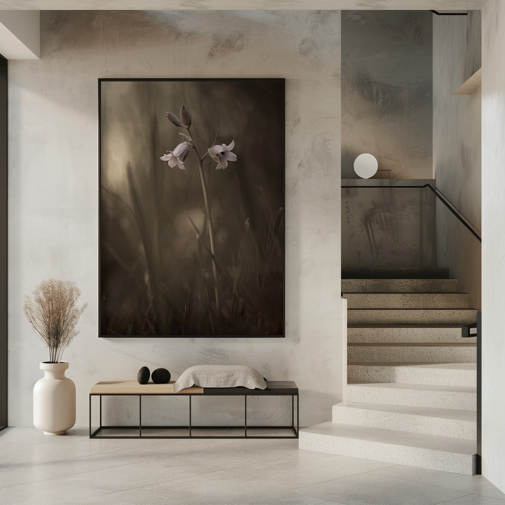 Eine kleine Blume auf dem Boden | Poster