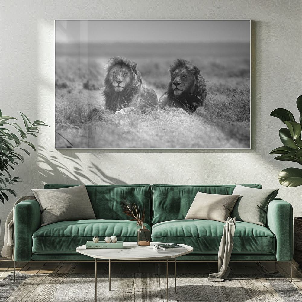 Zwei Könige | Leinwand