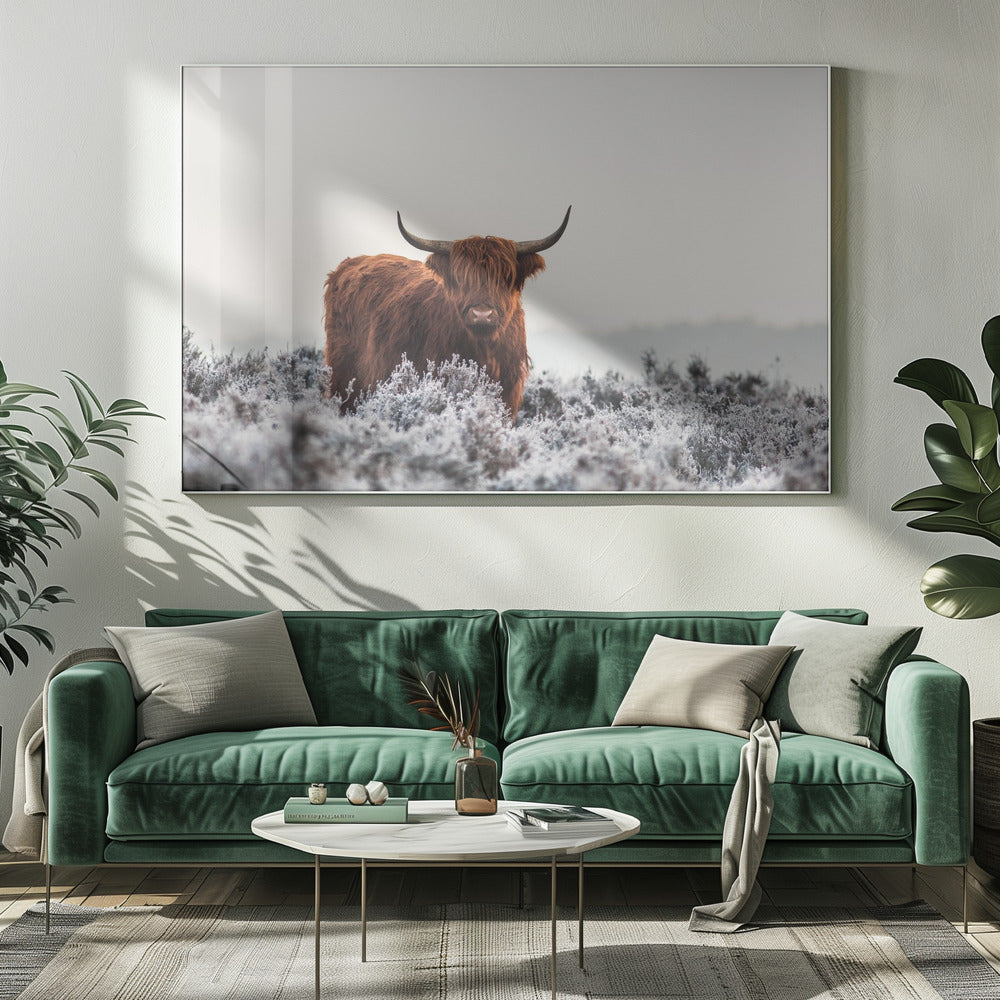Highlander | Leinwand