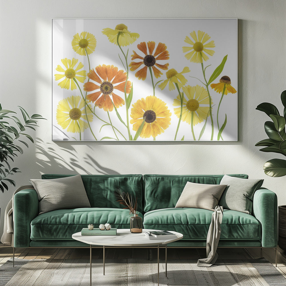 Helenium | Leinwand